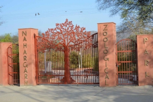 Jaipur: Inngangsbillett til Nahargarh Biological Park