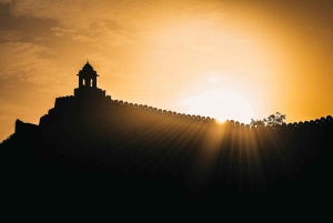 Jaipur: Inngangsbillett til Nahargarh Biological Park