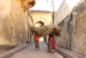 Jaipur: Ganztagestour ohne Shopping mit Heritage Walk