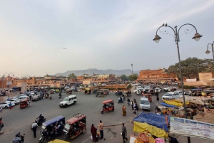 Jaipur: Ganztagestour ohne Shopping mit Heritage Walk