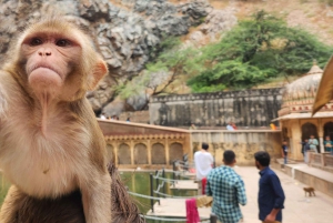 Jaipur: Yökierros Amberissa ja Pink Cityssä avoimella jeepillä