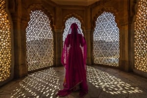 Jaipur: Visita guiada ao Forte de Amber, Stepwell e Templo do Amor Cego