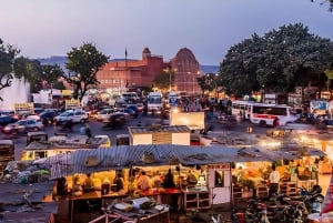 Jaipur: Visita guiada ao Forte de Amber, Stepwell e Templo do Amor Cego