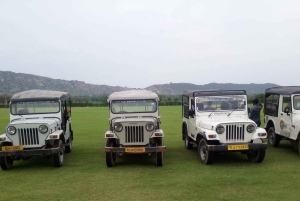 Jaipur: Open Jeep Safari For Group/Private/Couple