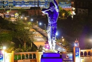 Jaipur: Open Night Jeep Safari For Group & Couple