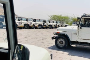 Jaipur: Open Night Jeep Safari For Group & Couple