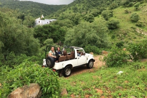Jaipur: Open Night Jeep Safari For Group & Couple