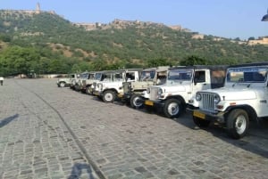 Jaipur: Open Night Jeep Safari For Group & Couple