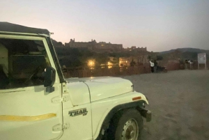 Jaipur: Open Night Jeep Safari For Group & Couple