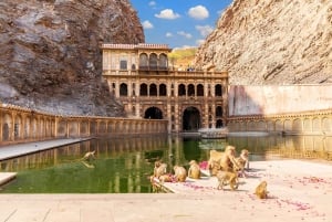 Jaipur: Personlig dagstur med bil med tilvalg