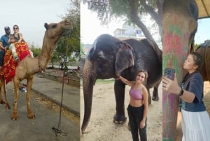 Jaipur Pink City Heritage Tour: Book By Car with Guide