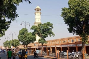 Jaipur: Historiallinen kävelykierros ja katuruoan maistelua