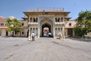 Jaipur: Historiallinen kävelykierros ja katuruoan maistelua