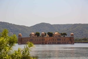 Z Delhi: 4-dniowa wycieczka 'Złoty Trójkąt i safari z tygrysami w Ranthambore