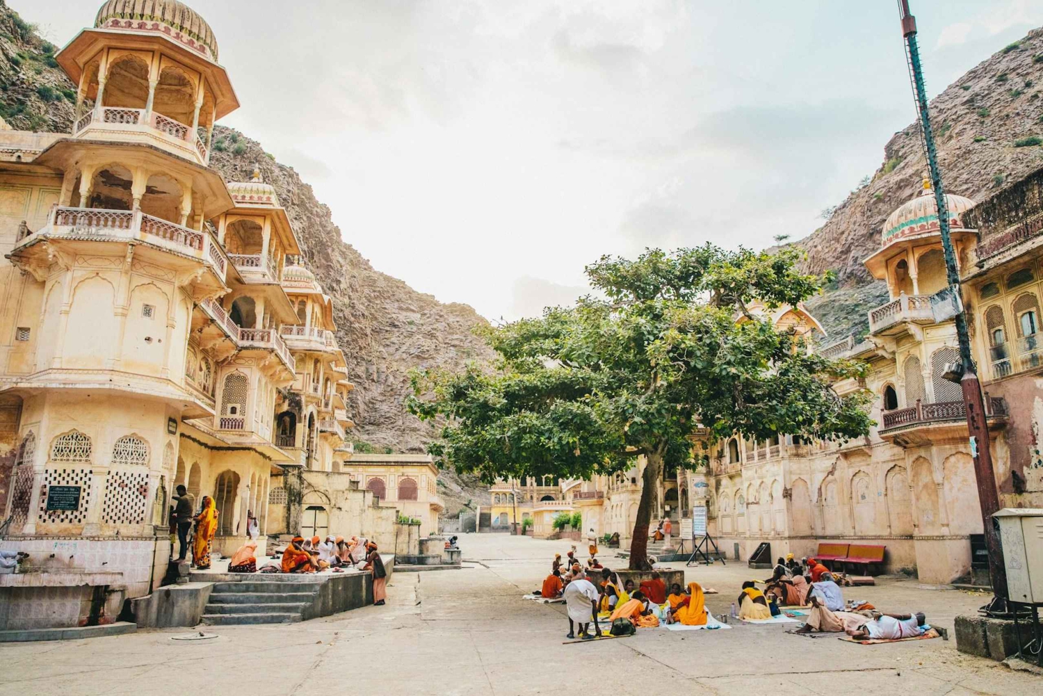 Джайпур: частная экскурсия по городу с автомобилем, гидом, билетами и обедом