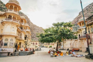 Джайпур: частная экскурсия по городу с автомобилем, гидом, билетами и обедом