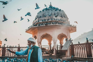 Tour privato della città di Jaipur con servizio di prelievo in hotel 4 - 8 ore