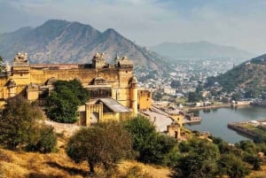 Jaipur privat dagsutflykt med monumentbiljetter från New Delhi