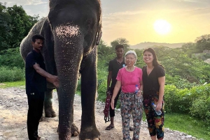 Jaipur: Yksityinen norsujen suojelualue