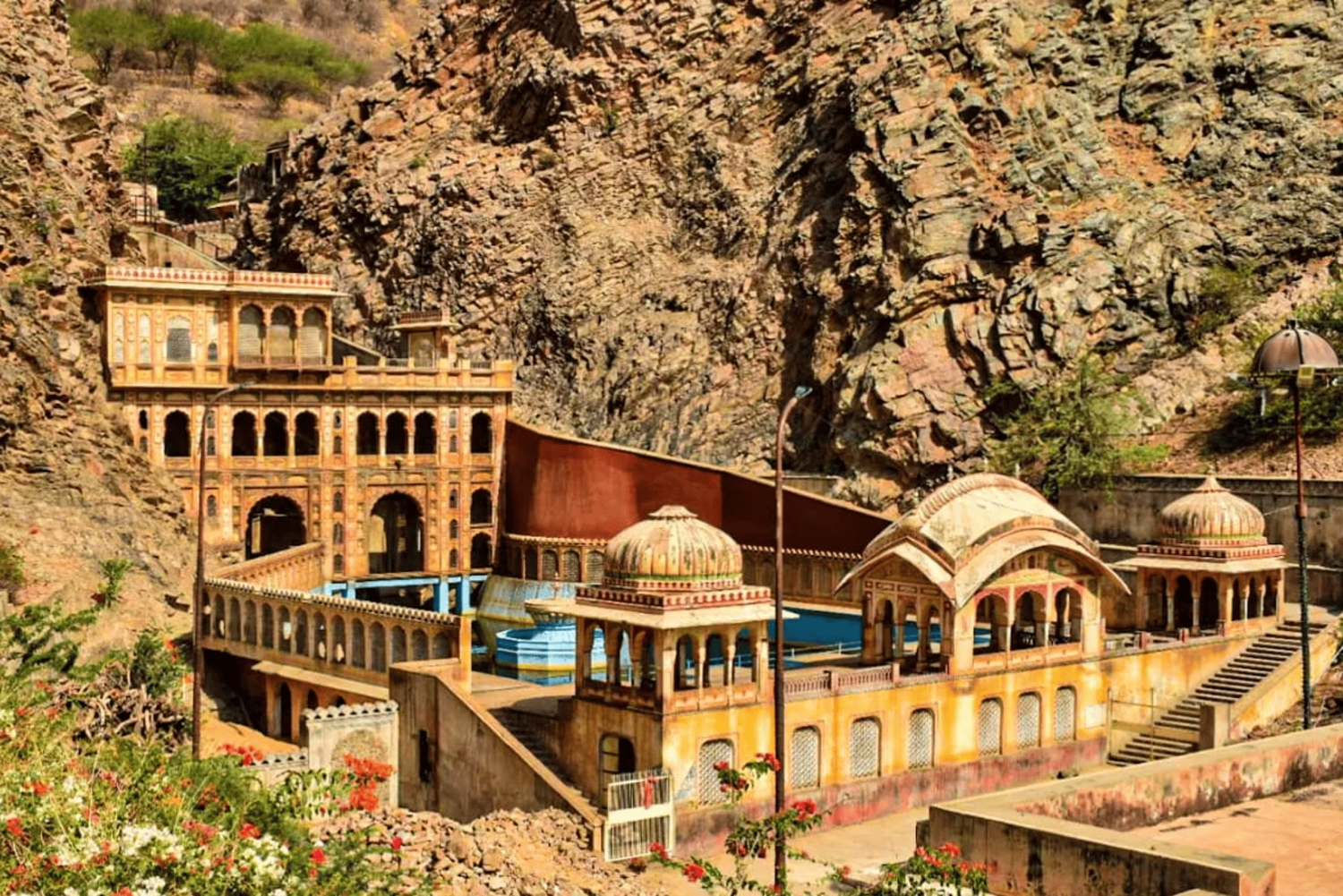 Jaipur: privéavondtour met apentempel en lokale markt