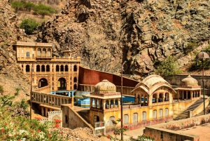 Jaipur: privéavondtour met apentempel en lokale markt