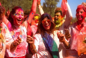 Jaipur: Private Full Day City Sightseeing Tour with Guide