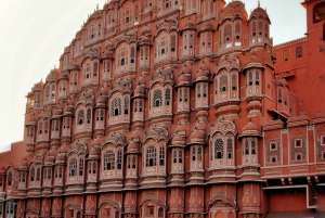 Jaipur: Private Full-Day City Tour