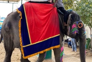 Jaipur: yksityinen koko päivän nähtävyyskierros autolla ja oppaalla