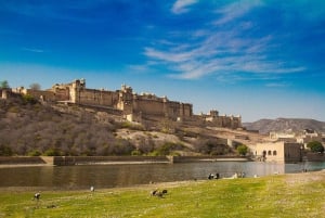 Jaipur: Privat heldags sightseeingtur med tuk-tuk