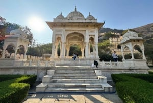 Jaipur: Privat heldags sightseeingtur med tuk-tuk