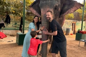 Jaipur: Privat heldags sightseeingtur med tuk-tuk