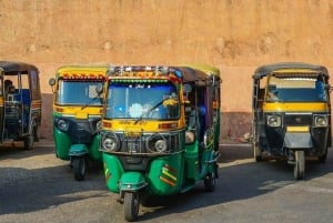 Jaipur: E-Rickshaw tour + Walking Tour + Food Tasting Tour