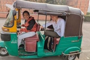 Jaipur: E-Rickshaw tour + Walking Tour + Food Tasting Tour