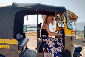 Jaipur: E-Rickshaw tour + Walking Tour + Food Tasting Tour