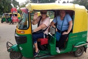 Jaipur: E-Rickshaw tour + Walking Tour + Food Tasting Tour