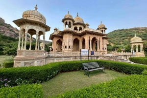 Jaipur: E-Rickshaw tour + Walking Tour + Food Tasting Tour
