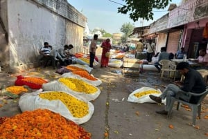 Jaipur: E-Rickshaw tour + Walking Tour + Food Tasting Tour