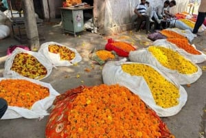 Jaipur: E-Rickshaw tour + Walking Tour + Food Tasting Tour