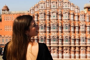 Jaipur: Privat heldagstur til den lyserøde kulturby