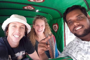 Jaipur: Całodniowa wycieczka krajoznawcza Tuk-Tuk z Małpią Świątynią