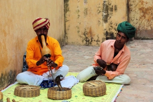 Jaipur: tour guiado privado pela cidade com recolha e entrega no hotel