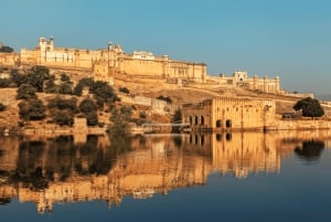 Jaipur: Privat guidet dagstur med paladser og skjulte perler