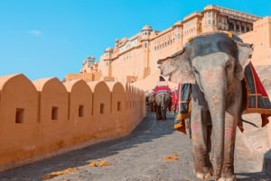 Jaipur: Privat guidet dagstur med paladser og skjulte perler
