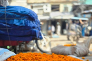 Джайпур: частная экскурсия с гидом на полдня и однодневная экскурсия в Джайпуре