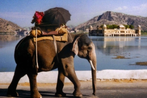 ジャイプール：最高の写真撮影スポットを巡るプライベートインスタグラムツアー