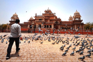 ジャイプール：最高の写真撮影スポットを巡るプライベートインスタグラムツアー