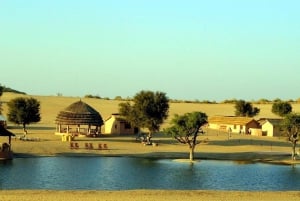 Jaipur: Private - Khimsar Desert Safari Day Trip with Guide