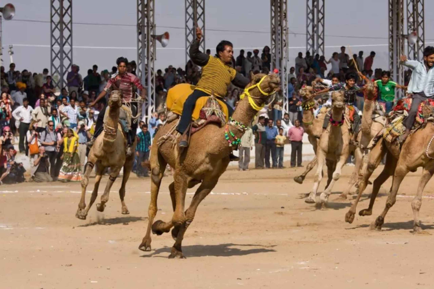 Jaipur: viagem privada de 1 dia para Ajmer e Pushkar
