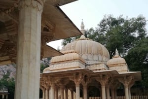 Однодневная экскурсия по Джайпуру на тук-туке с местным чайвалой