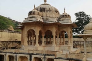 Однодневная экскурсия по Джайпуру на тук-туке с местным чайвалой